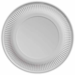 100 Small 7inch Paper Plates